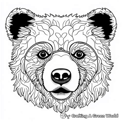 Bear Face Coloring Pages Free Printable