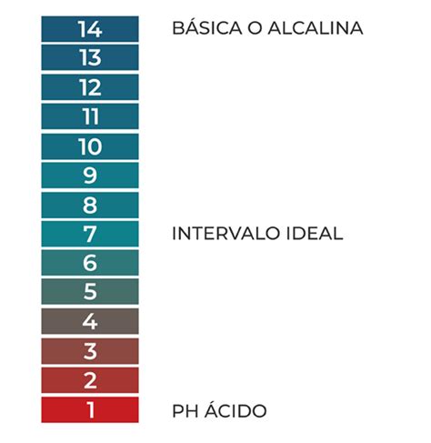 Cómo subir el pH de la piscina estos son nuestros consejos Vestatex