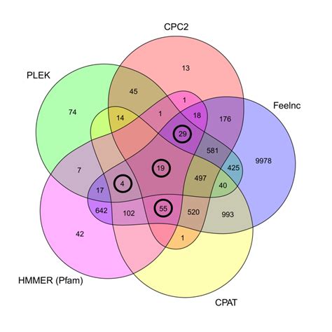 Venn Diagram Visualizing The Relationship Between The Number Of Download Scientific Diagram