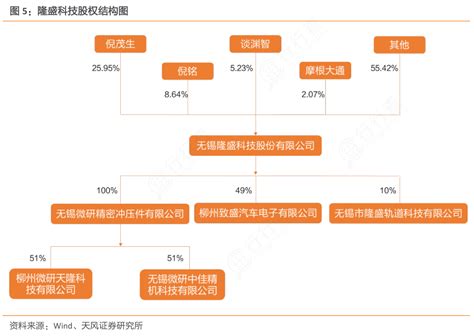 想问下各位网友隆盛科技股权结构图的概念是怎样的行行查行业研究数据库