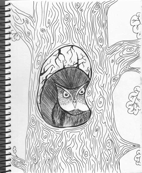 Раскраски Сова в дупле (39 шт.) - скачать или распечатать бесплатно #16222