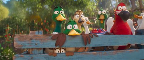 Nombres Para Patos 8