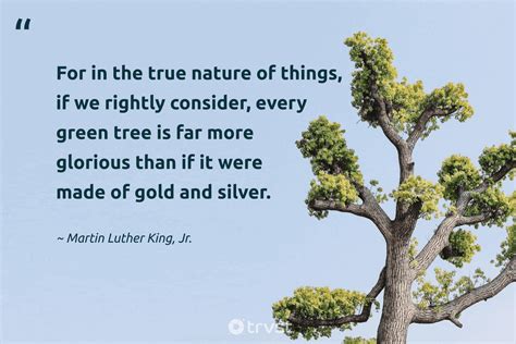 39 Tree Planting Quotes To Inspire You To Grow A Forest 53 Off