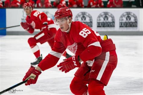 Red Wings’ 2022-23 Opening Night Roster Emerges | Flipboard