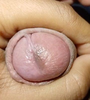 Top Gay Amateur Porn Video Creators Of Homemade Sex 235 XHamster
