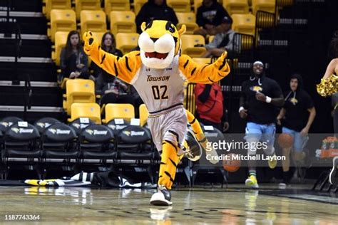 4,211 Towson Tigers Photos & High Res Pictures - Getty Images