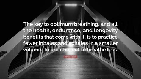 James Nestor Quote: “The key to optimum breathing, and all the health