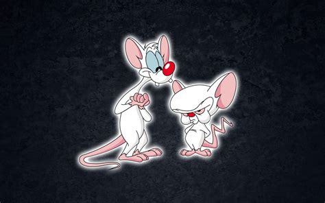 Pinky And The Brain Wallpapers Hd