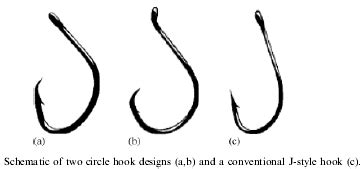 Circle Hooks vs. J Hooks | The Great Circle Hook Debate