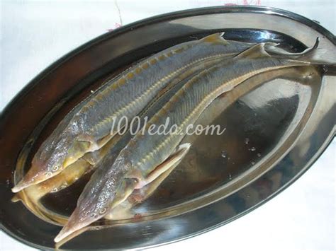 Рецепт рыбы стерлядь в вине - Горячие блюда от 1001 ЕДА