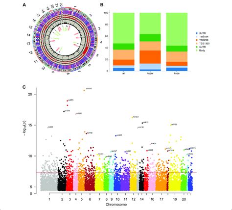 Differential Dna Methylation Distribution A Circus Plot Of Cpgs