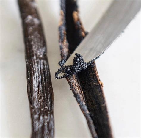 Madagascar Vanilla Beans – Origin Vanilla