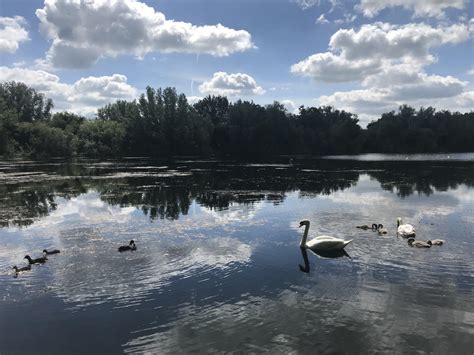The surprising new parking fee at milton park & ride cambridge 13