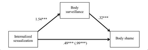 Mediational Model Of Direct And Indirect Effects Of Internalized