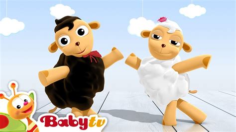 Cha-Cha-Cha Dancing Sheep | BabyTV Accordi - Chordify