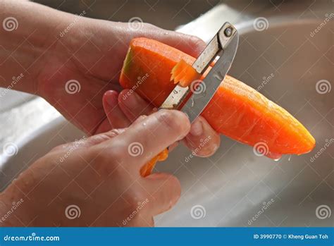 Peeling Carrot Stock Photo Image Of Vegetables Fresh 3990770