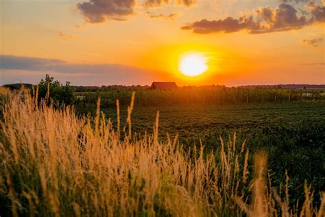 Imagen Gratis Agr Cola Paisaje Puesta De Sol Granja Huerta