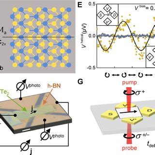 Time Scales Of Ultrafast Light Driven Currents In Low Dimensional Van