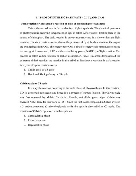 Pdf Photosynthetic Pathways C C And Cam Dark Schematic