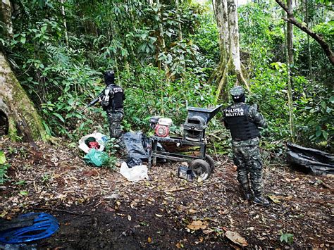 Fuerzas Armadas Asegura Hect Reas De Hoja De Coca Hondumedios