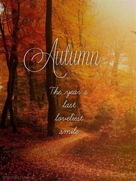 60 autumn quotes fall quotes and captions to enchant and deepen the ...