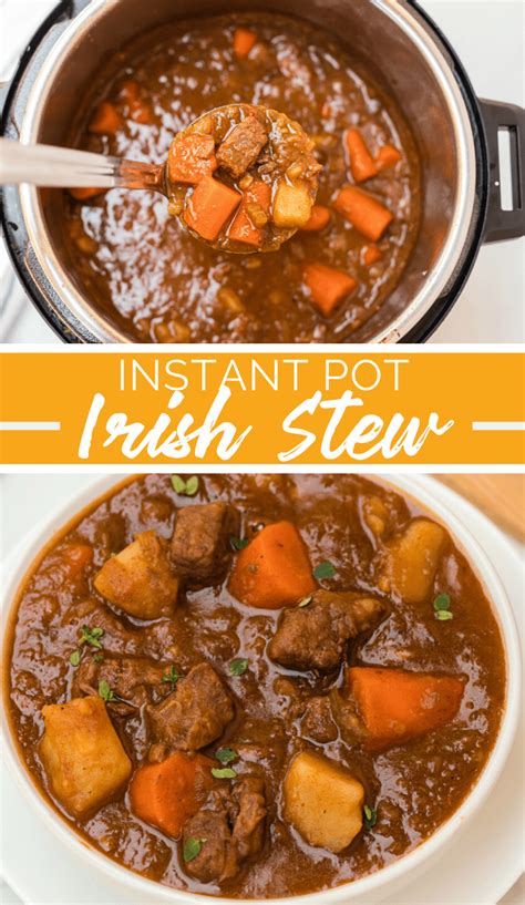 Instant Pot Irish Stew – ImageLienEn