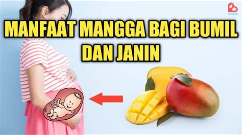 Tak Disangka Ini Manfaat Buah Mangga Untuk Ibu Hamil Youtube