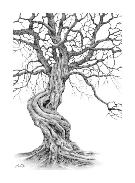 TWISTED TREE | Kevin Williamson | Tree drawing, Tree drawings pencil ...