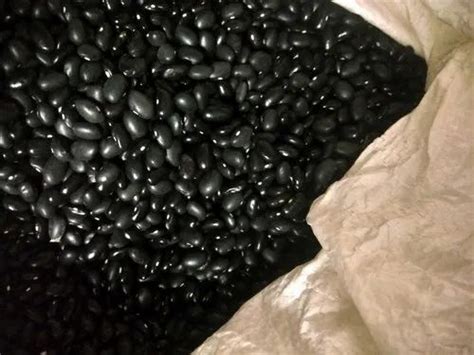 Organic Black Beans Tamil Nadu At 200 Kg In Chennai ID 13325411197