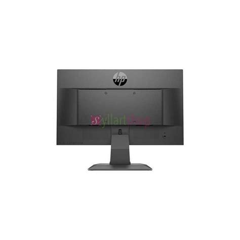 Écran ordinateur HP P204v 19 5 1600 x 900 HD 60 Hz TN 200 cd m² 600