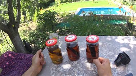 Дубовая щепа своими руками по методу французского винокура Виталия. ч.2 ...
