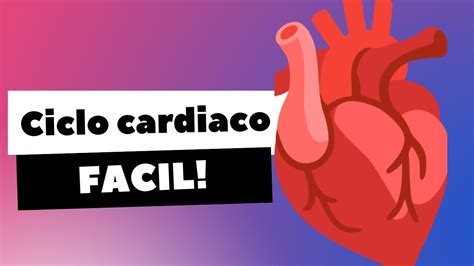 Ciclo Cardiaco Explicaci N Facil Fisiologia Youtube