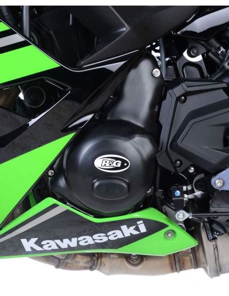 KAWASAKI Z650 Ninja 650 17 SX Protezione Motore ECC0225BK R G