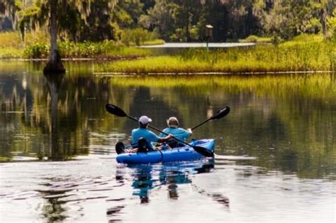 Florida Manatee Kayaking Tour - Florida Splendors