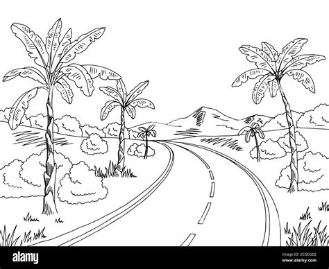 Jungle Road Gr Fico Blanco Negro Paisaje Dibujo Ilustraci N Vector