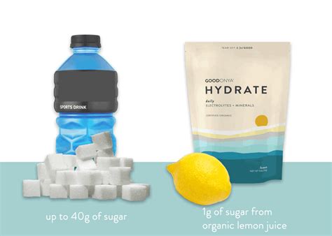 GOODONYA HYDRATE – Tagged "low sugar drinks for diabetics" – GOODONYA ...