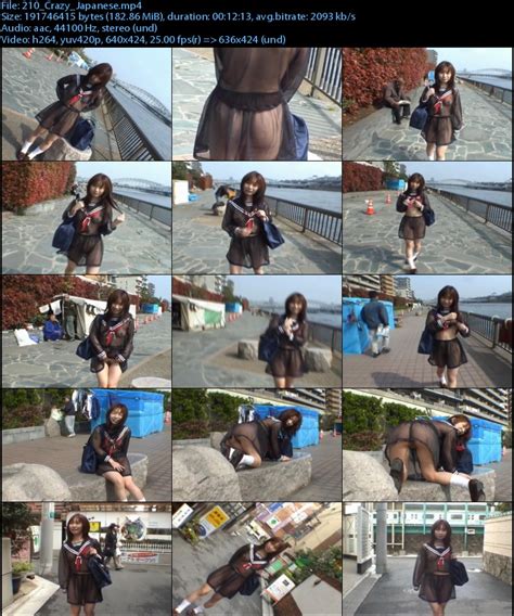 Crazy Japanese Public Sex Page