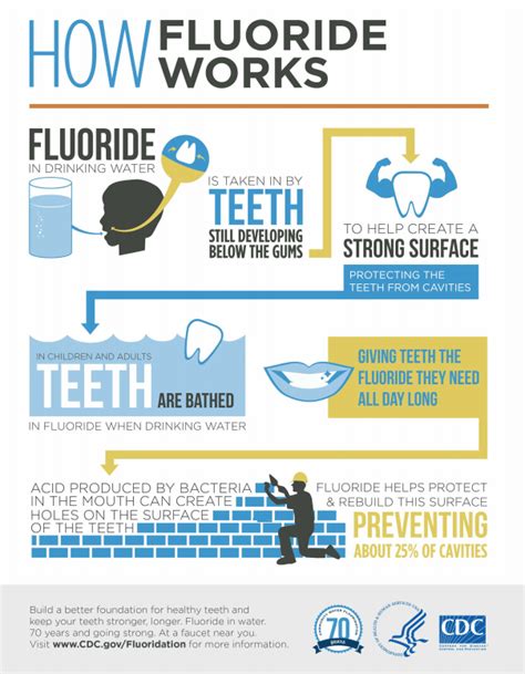 The Many Benefits Of Fluoride | Acorn Dentistry For Kids