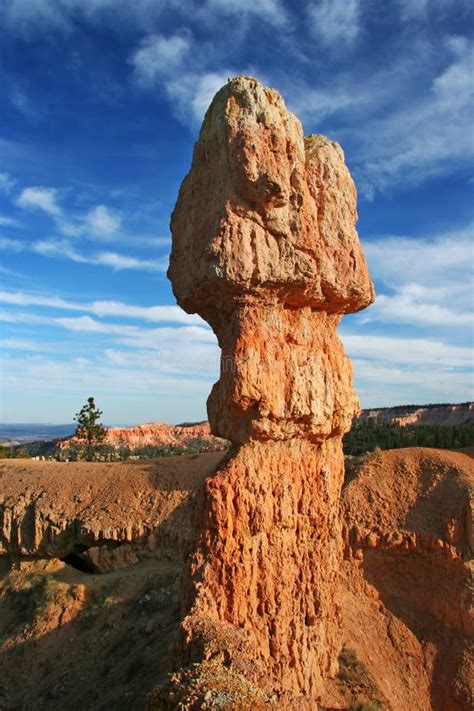 Bryce Canyon Hoodoo stock photo. Image of tree, rocks - 10494632