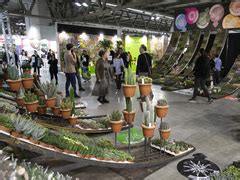 Myplant Garden Continua A Crescere Mondopratico It