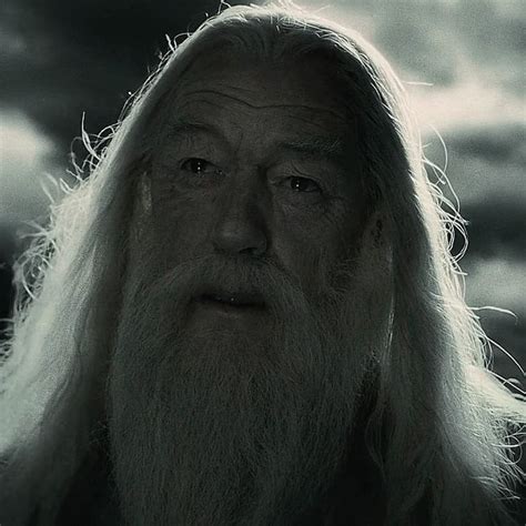 Harry Potter Albus Percival Wulfric Brian Dumbledore Albus Dumbledore