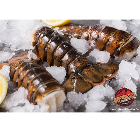 Maine Lobster Tails #mainelobster #mainelobstertails #lobstertails #maine #lobster #freshlobster ...