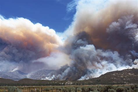 solitary dog sculptor nasa usa california mountain fire