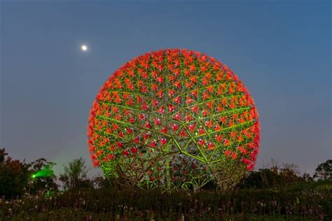 La Flor Famosa De La M Quina Del Mundo Flora Exposition De Taichung