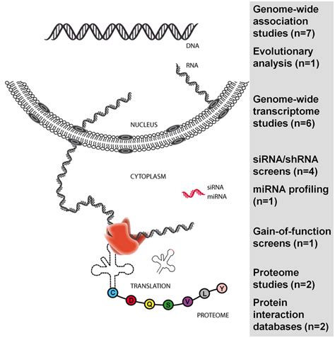 Genome-wide and large-scale studies published since 2007 in the HIV ... 