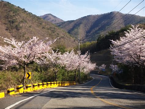 Asia - Kevin Rawlings