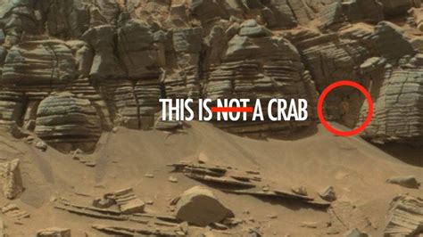 Nasa Totally Found An Alien Crab On Mars And Didnt Tell Anybody