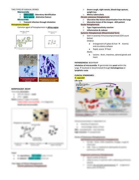 Solution Systemic Mycoses Studypool