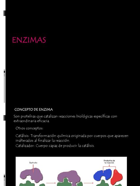 PDF PRESENTACION ENZIMAS 1 DOKUMEN TIPS