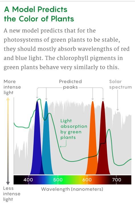 Why Are Plants Green – World Sensorium / Conservancy